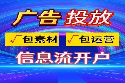 SEO与SEM优化案例：打造行业领先品牌